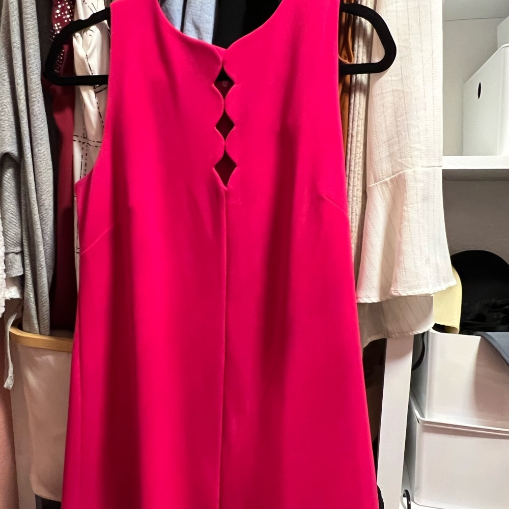 Never worn cute dress above the knee